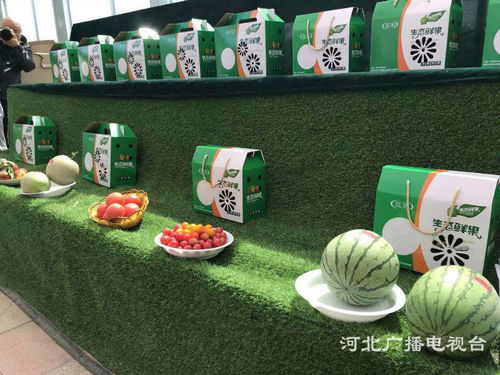 探訪邢臺臨城的生態發展之路與正餐服務融合